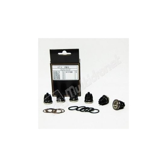 KIT 201 VALVULAS INTERPUMP KIT 201 VALVULAS INTERPUMP